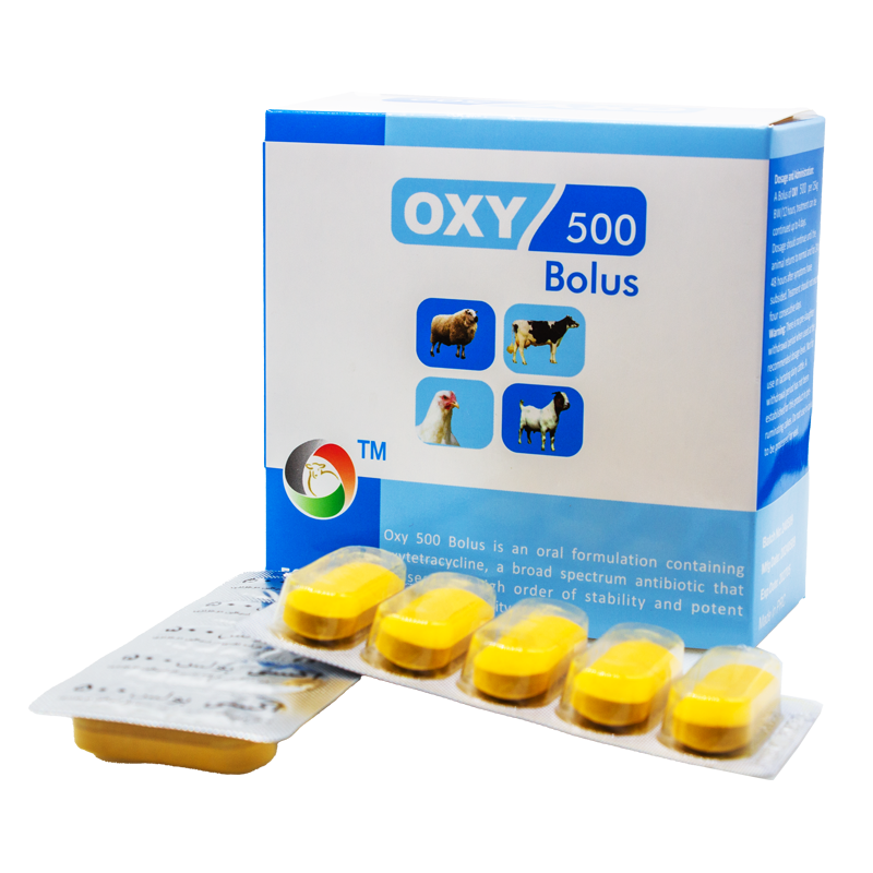 Oxy 500 Bolus OXY 500 Bolus