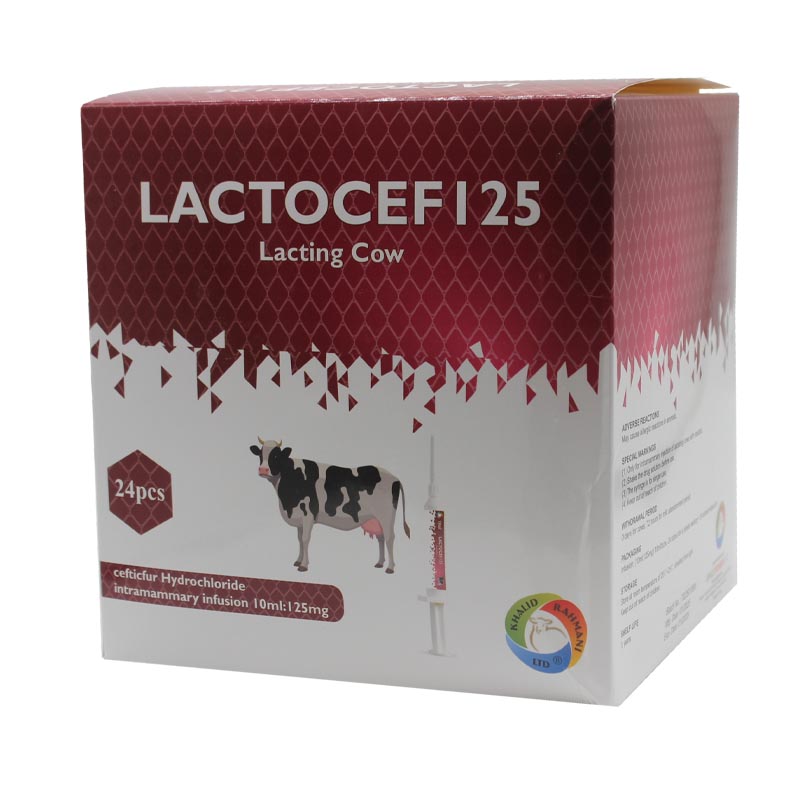 Lactocef 125
