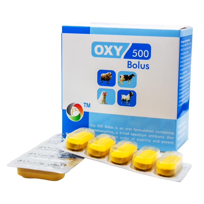 oxy-500 bolus packing. box and boluses.