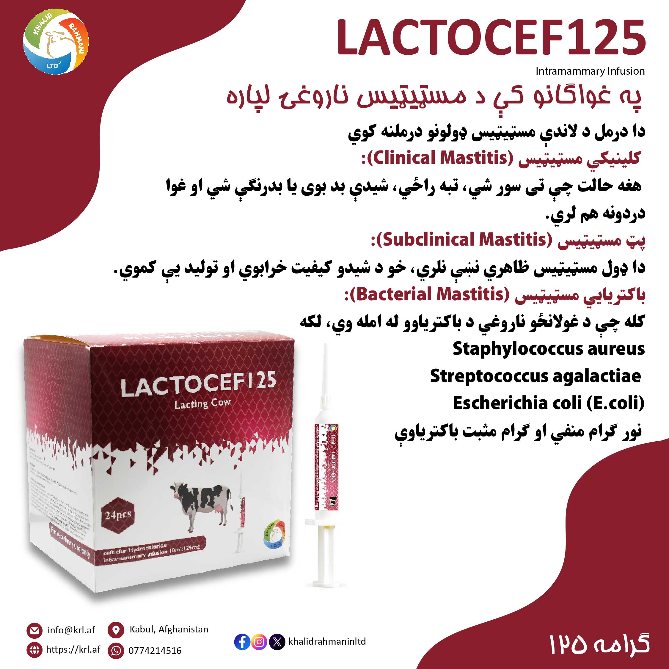 LACTOCEF 125 2 POSTER-01