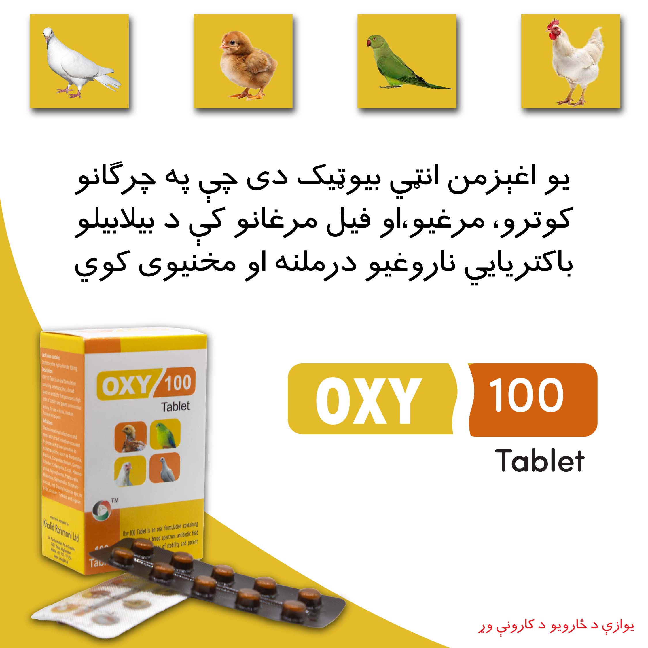 oxy 100 tablet poster