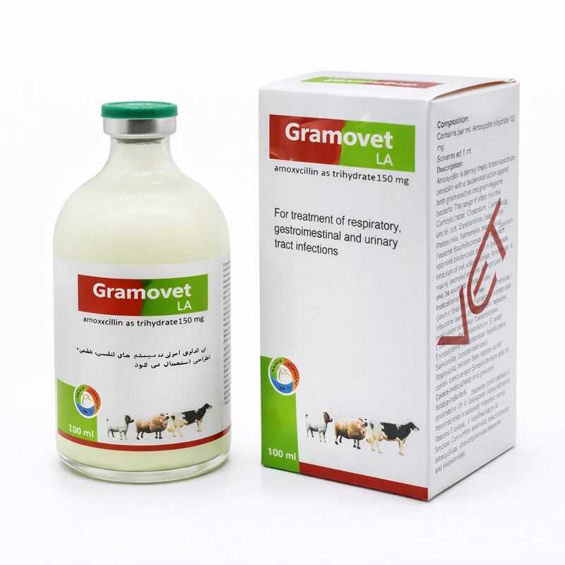 Gramovet LA