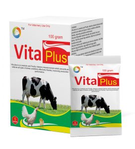 VITA PLUS 100gm