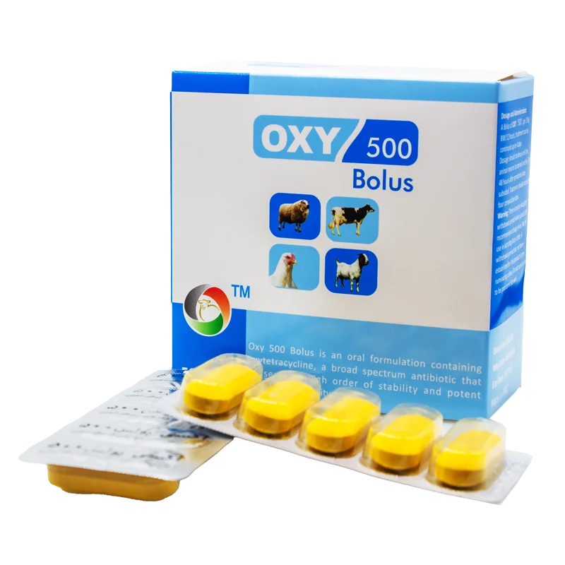 OXY 500 Bolus